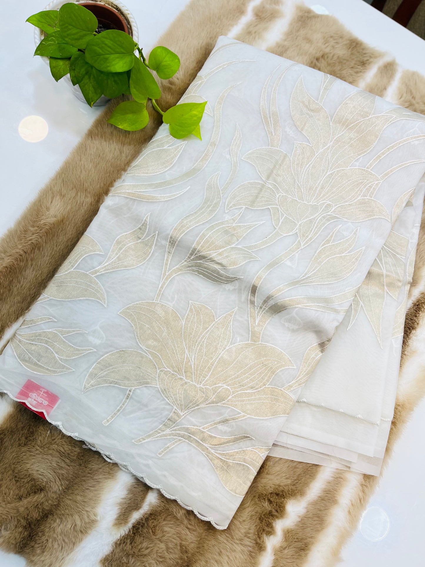 BUDGET FRIENDLY SAREE